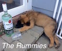 the Rummies